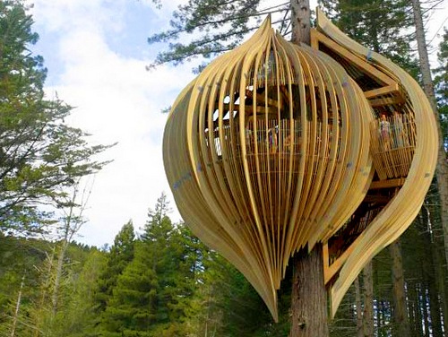 В Новой Зеландии построили необычный эко-ресторан на дереве 