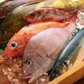 В России может появиться добровольная система сертификации качества рыбы