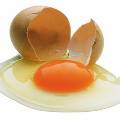 Учёные реабилитировали куриные яйца