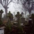 Исследование: чтобы продлить жизнь, нужно почаще бывать на кладбище 
