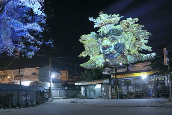 Необычные деревья: визуальные изображения через призму экологичности