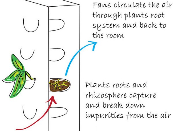 Принцип работы зеленой стены