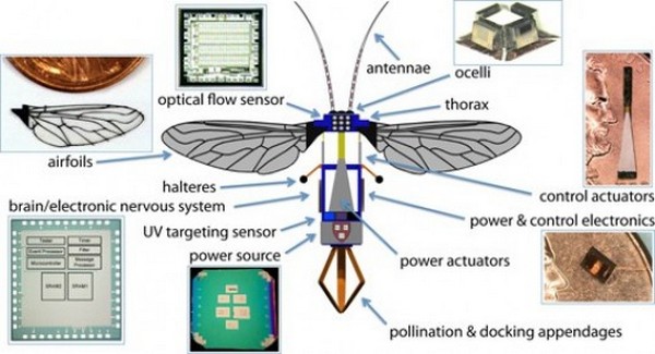 Робот RoboBees: механический помощник пчел Робот RoboBees: механический помощник пчел