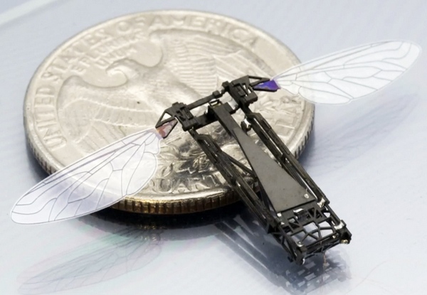 Миниатюрный RoboBees способен спасти окружающую среду Миниатюрный RoboBees способен спасти окружающую среду