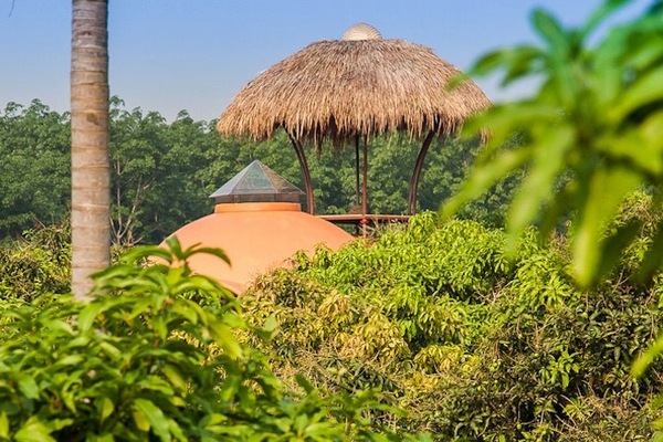 Дом расположен среди плантации манго
