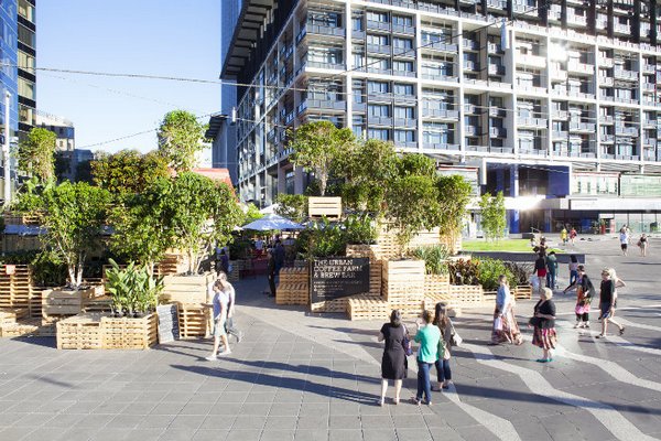 Кофейная плантация в центре Мельбурна