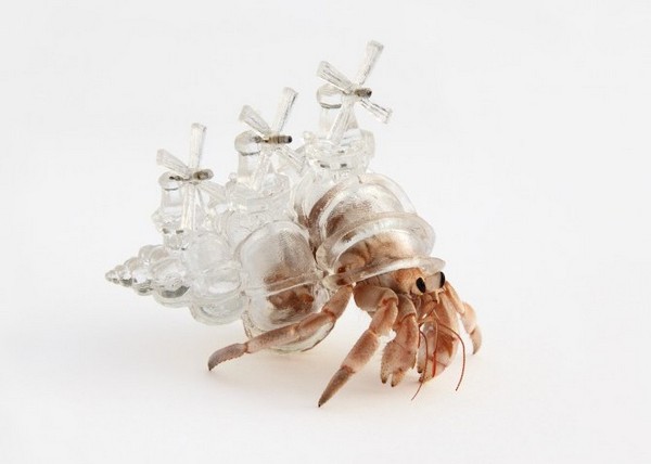 3D принтер как средство для спасения морской фауны