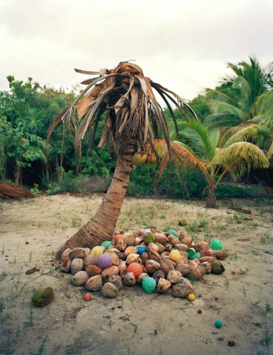 Горы мусора нежатся под пальмами. Фотограф: Алехандро Дюран (Alejandro Duran).