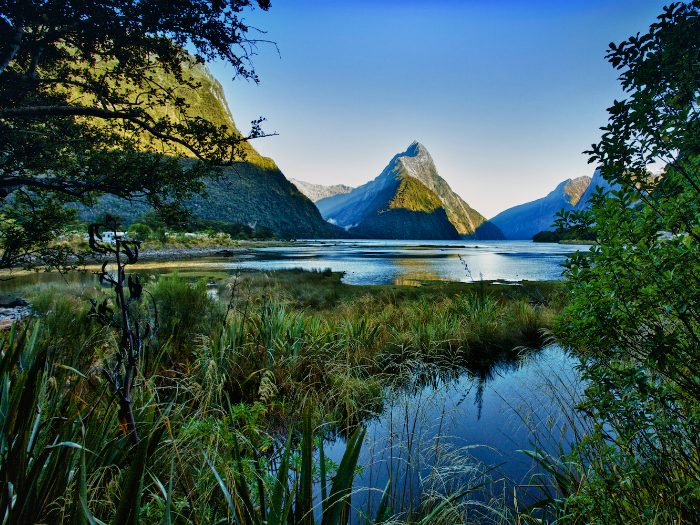 Крупнейший национальный парк Новой Зеландии, известен своими заснеженными горными вершинами и девственной природой.