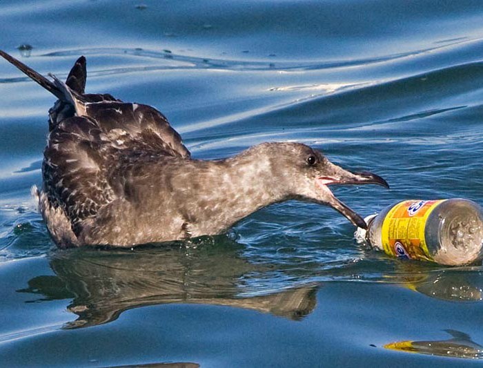 Ежегодно 6 миллиардов килограмм мусора скидывают в океан, большая часть которого - пластик.