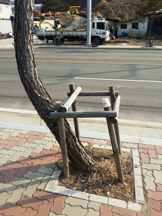 Единомышленники встречаются и в природе. Ура! Единомышленники встречаются и в природе. Ура!