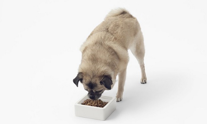 Cubic Pet Goods. Cubic Pet Goods.