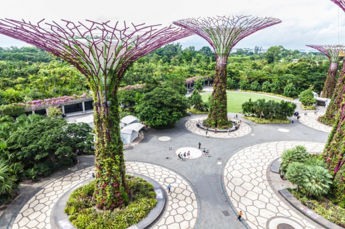 Природный парк Supertree Grove в Сингапуре