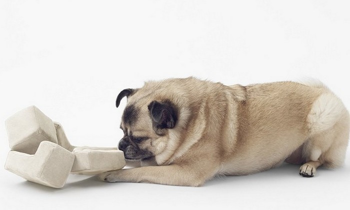 Cubic Pet Goods. Cubic Pet Goods.