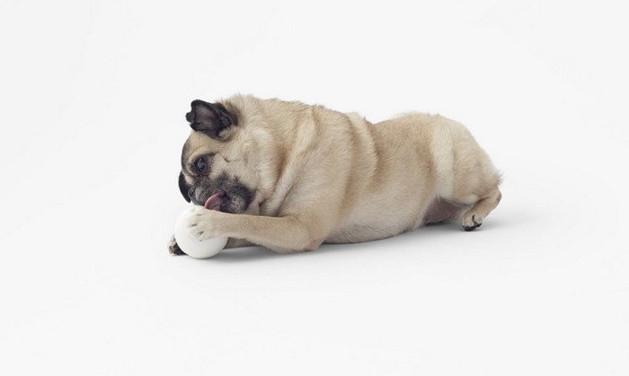 Cubic Pet Goods. Cubic Pet Goods.