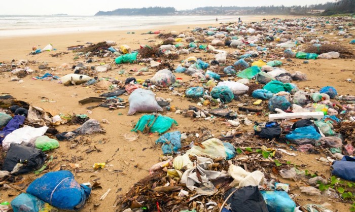 Пластик - одна из самых драматических проблем, с которыми сталкивается окружающая среда.