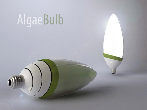 AlgaeBulb: необычное освещение для обычных домов