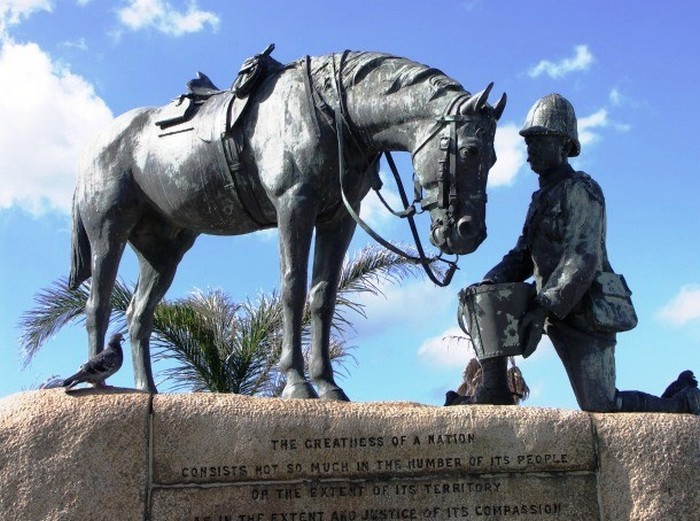 Памятник лошади.