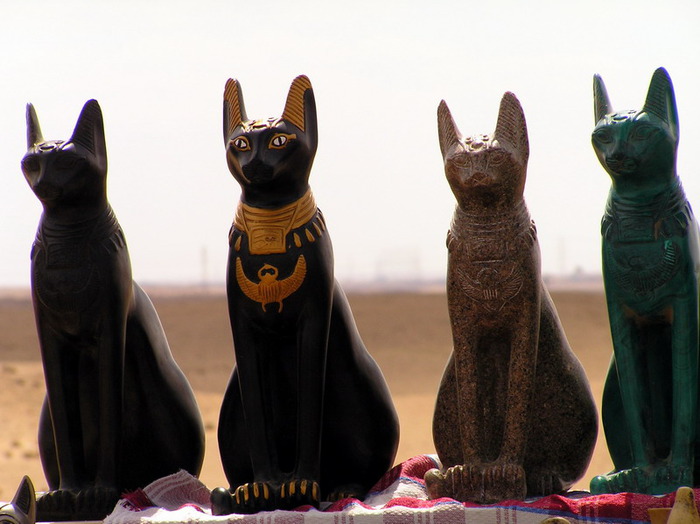 Египетские кошки.