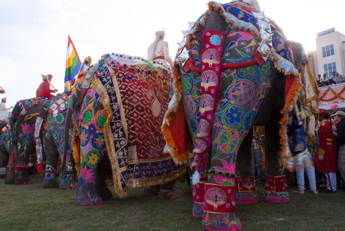 Декорированные слоны.
