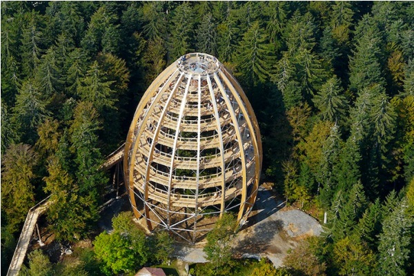 Смотровая площадка на вертикальной аллее Treetop