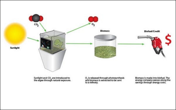 Биореактор-концепт Bio-Grow