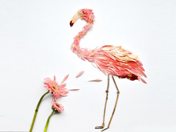 Реалистичные изображения экзотических птиц из лепестков