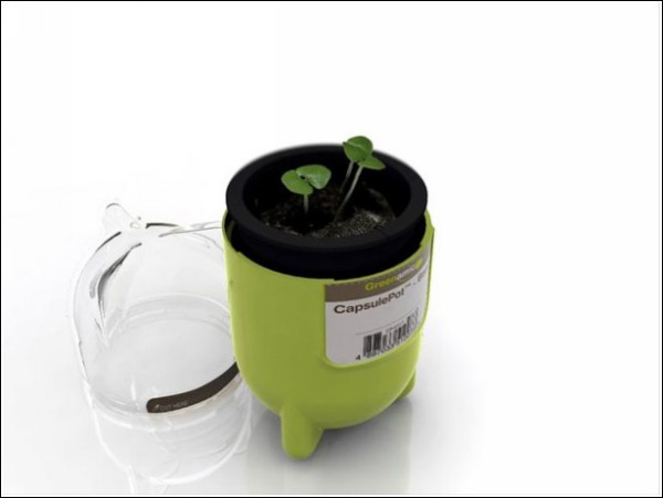 CapsulePot - огород дома