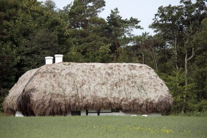 Дом с крышей из водорослей под названием Hedvigs House, 2017