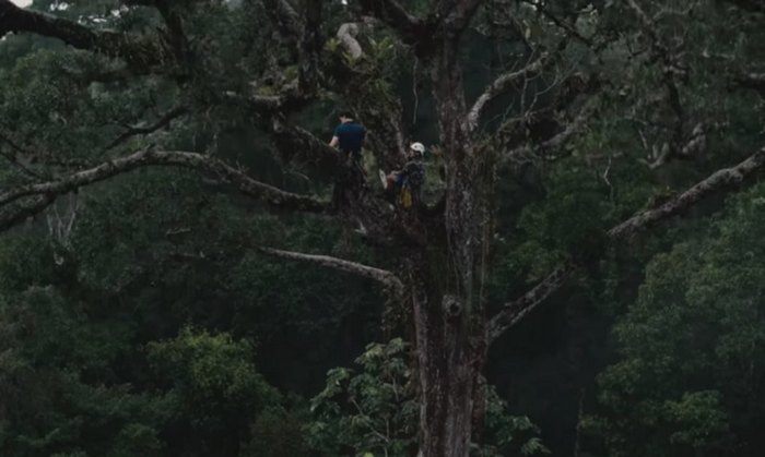 30 членов народа Тембе регулярно патрулируют лес.