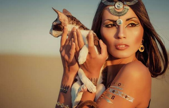 Кошки одомашнены древними египтянами... или киприотами?