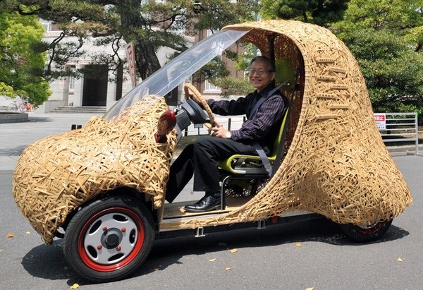Bamgoo: японские экологичные автомобили из бамбука