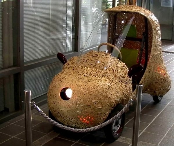 Bamgoo: автомобили из бамбука