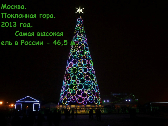 Самая высокая ёлка в России