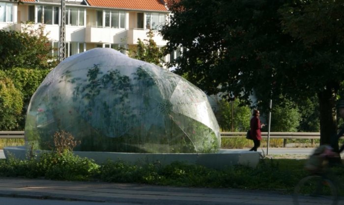 «Уголок живой природы» в центре Копенгагена.