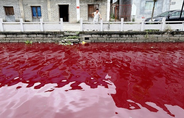Человек смотрит на загрязненную реку, протекающую у него под окном, Вэньчжоу.