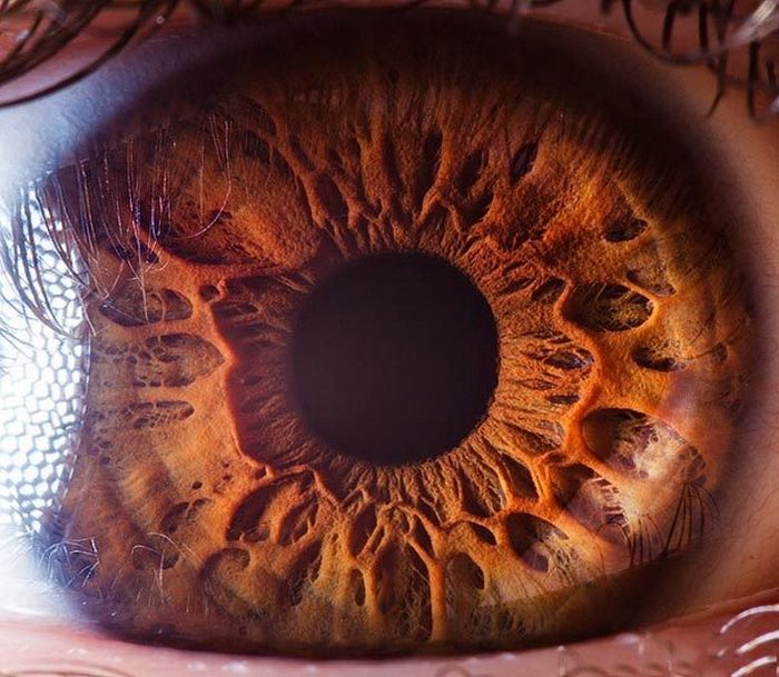 Просто невероятные фото человеческих глаз.