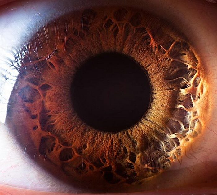 Просто невероятные фото человеческих глаз.