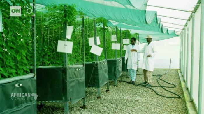 Инновационная ферма в Нигерии.