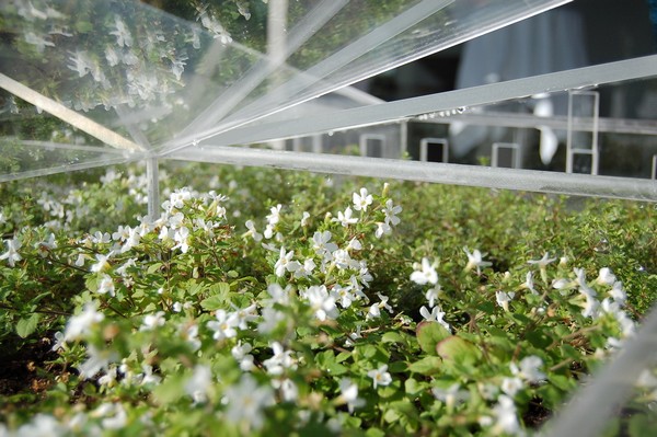 FurniBloom, Экологически чистый интерьер FurniBloom, Экологически чистый интерьер
