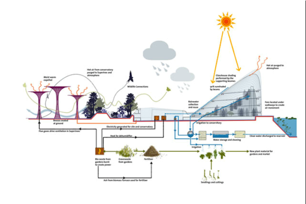Зимний сад в Сингапуре: климат-контроль и другие эко-технологии