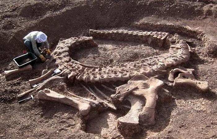 В костях динозавров содержится большое количество иридия.