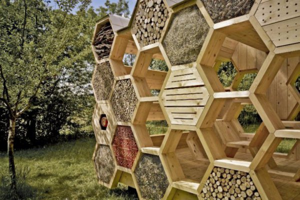 AtelierD 0 уютное пристанище для пчёл и людей
