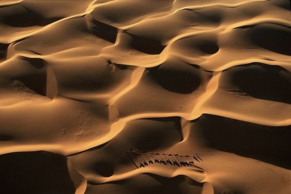 Караван дромадеров в дюнах, Нуакшот, Мавритания