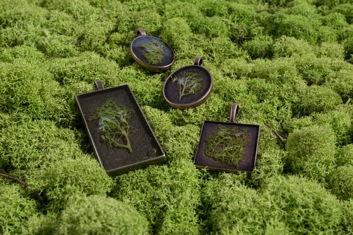 MOSSMANIA - зелёная коллекция в интерьере.