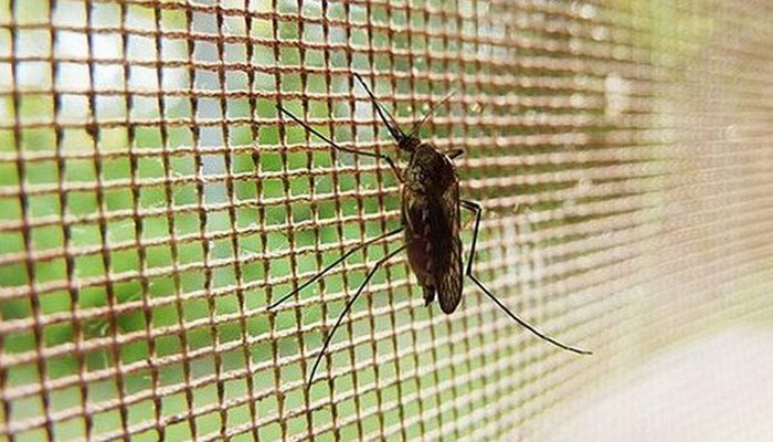 Комары является носителем малярии.