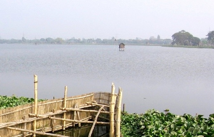 Восточно-Калькуттские водно-болотные угодья в Индии.