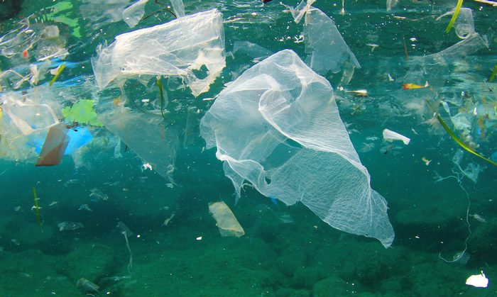 Количество пластика в океане может утроиться к 2025 году. В воде.