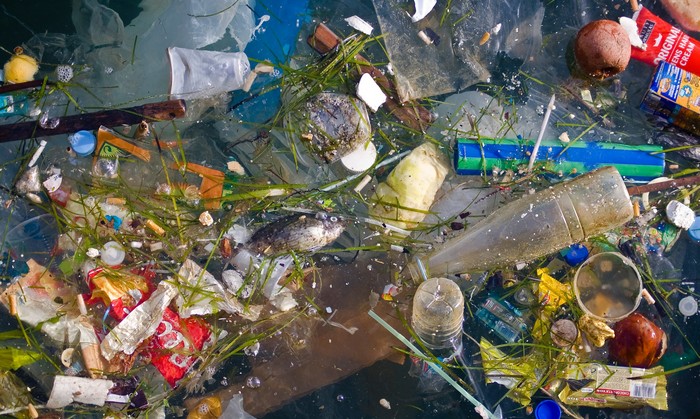 Количество пластика в океане может утроиться к 2025 году. Над водой.