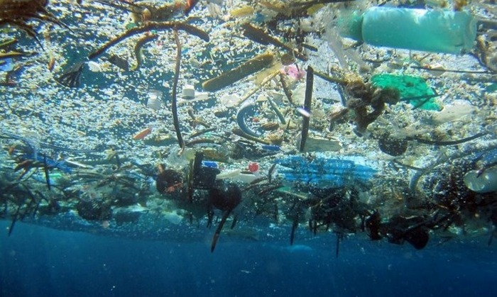 Количество пластика в океане может утроиться к 2025 году. Под водой.